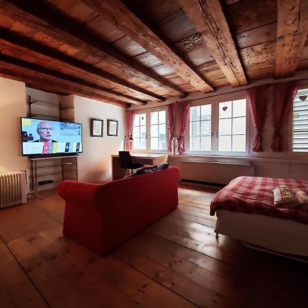 Swiss Chalet Style Zurich Bagian luar foto